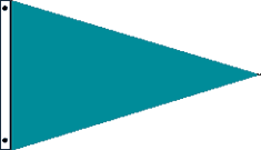 Parrot Blue